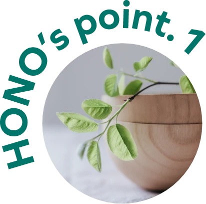 HONO's point1